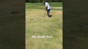 A chill day golfing with my friends #golf #golfer #pga #golflife #golfing #golfshot #birdie