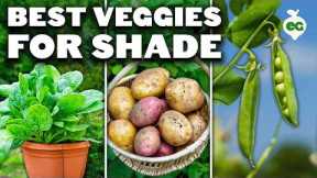 12 Perfect Vegetables To Grow in a Shady Garden Space