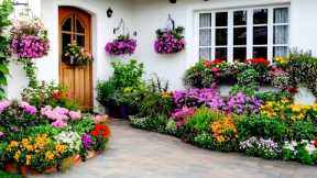 Top Gardening Ideas for Your Home  The Easiest Garden Plants to Find and Care for