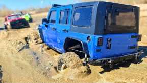 ☠️ RC CARS vs. QUICKSAND BEACH! 😱 (Epic Recovery Mission!)