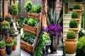 Brilliant Container Gardening Ideas: