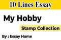 Essay on My Hobby in English 10 Lines 