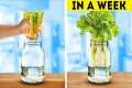 Gardening Hacks: Indoor Planting Tips 