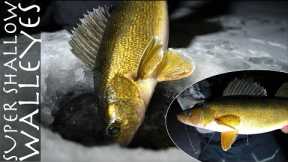 MUST KNOW TIPS  for Ice Fishing FINICKY Walleyes!