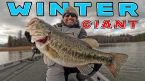 GIANT 9 lb BASS + Cold Water Fishing Tips!