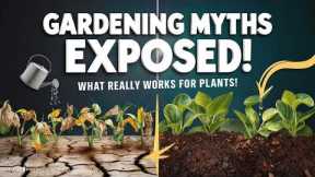 Gardening Myths Debunked: What Really Works?