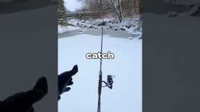 I Tried to Catch Fish in the Snow 🐟🎣 #fishing