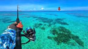 Fishing Australia's FAMOUS *Great Barrier Reef* for our Dinner! [Catch, Clean, Cook]