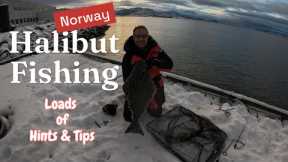 Step by Step Guide on Halibut and Cod fishing at Sandviberget, shore fishing Norway.