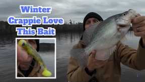 Winter Crappie Love This Bait, Crappie Fishing Tips w/ Livescope Footage