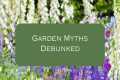 5 Garden Myths Debunked: Smarter