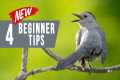 Bird Photography for Beginners: 4