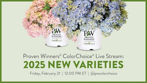 New for 2025 - Proven Winners ColorChoice Shrubs Live Reveal