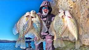 Catch Crappie Fishing BLUFF WALLS In The WINTER! (LOADED)