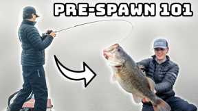 Pre-Spawn Bass Fishing MASTERCLASS! (Bass Behavior Ep. 1)