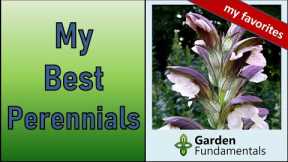 Best 45 Perennials in My Garden 🌹🌻🌺 Every Gardener Should Grow These