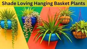 Shade loving hanging basket plants | Easy to grow plants for hanging baskets #garden