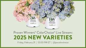 New for 2025 - Proven Winners ColorChoice Shrubs Live Reveal