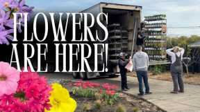 HUGE PROVEN WINNERS ANNUAL FLOWER DELIVERY! 🌸🌼🌿