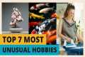 Top 7 Most Unusual Hobbies in the