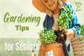 Gardening Tips for Seniors (Because