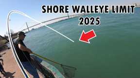 MY FIRST SHORE EARLY SPRING WALLEYE LIMIT OF 2025 - DETROIT RIVER FISHING