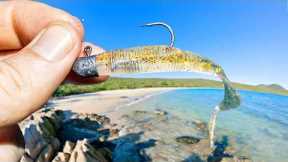 Fishing the Rocks for Food