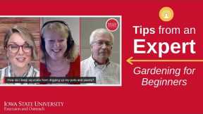 Tips from an Expert: Gardening for Beginners