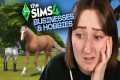 Building a PETTING ZOO in The Sims 4: 