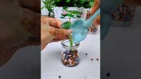 Recycling small cup for planting flower #plants #flowers #diy #shorts