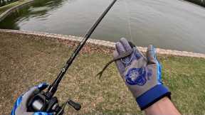 Fishing with ONLY the Fluke!!