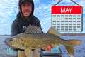 Walleyes Tips for MAY – The GOLDEN