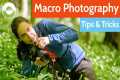 Macro Photography Tips and Tricks!