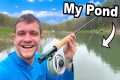 I Went Fly Fishing in My Pond for the 