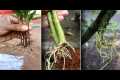 Genius Gardening Ideas 2025: Grow