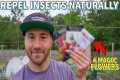 4 Flowers That REPEL INSECT PESTS I'm 