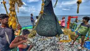 OMG‼️ Day 02: Watch This HUGE Trawl Net Devour the Deep Sea🦈😱
