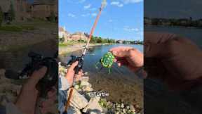 Fishing with mystery lures sent by a follower