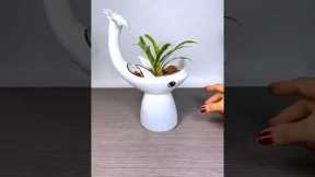 Best plant for home garden, #gardening #plants #flowers