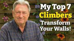 My Top 7 Climbing Plants for a Beautiful Garden – And How to Plant Them!