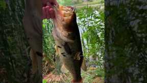 Topwater Fishing Fun with #machpatroller #bass #fishing #pond