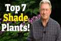 My Top 7 Plants for Shade - Transform 