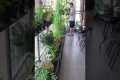 Growing vegetables with flowers on