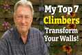 My Top 7 Climbing Plants for a