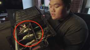 “Every Lure I Own – The ULTIMATE Fishing Tackle Tour!”