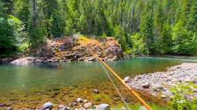 The most INCREDIBLE small stream on the planet (fly fishing for trout)