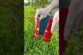 Garden Myths Debunked: Expert Tips
