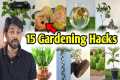 My 15 Gardening Hacks you must know,