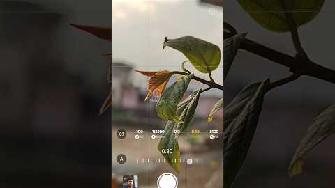 Creative Photography Tips and Trick with Phone using pro Mode | Mobile Photography Hacks