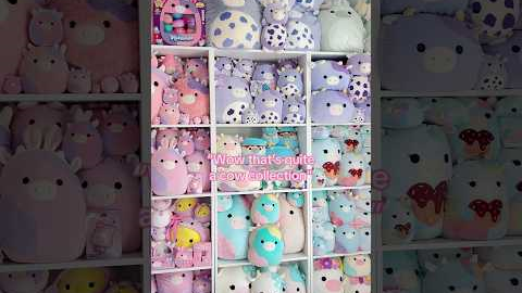 I have too many hobbies 😂 #squishmallows #fypviralシ #squishmallowcheck #hobbies #collection #sanrio